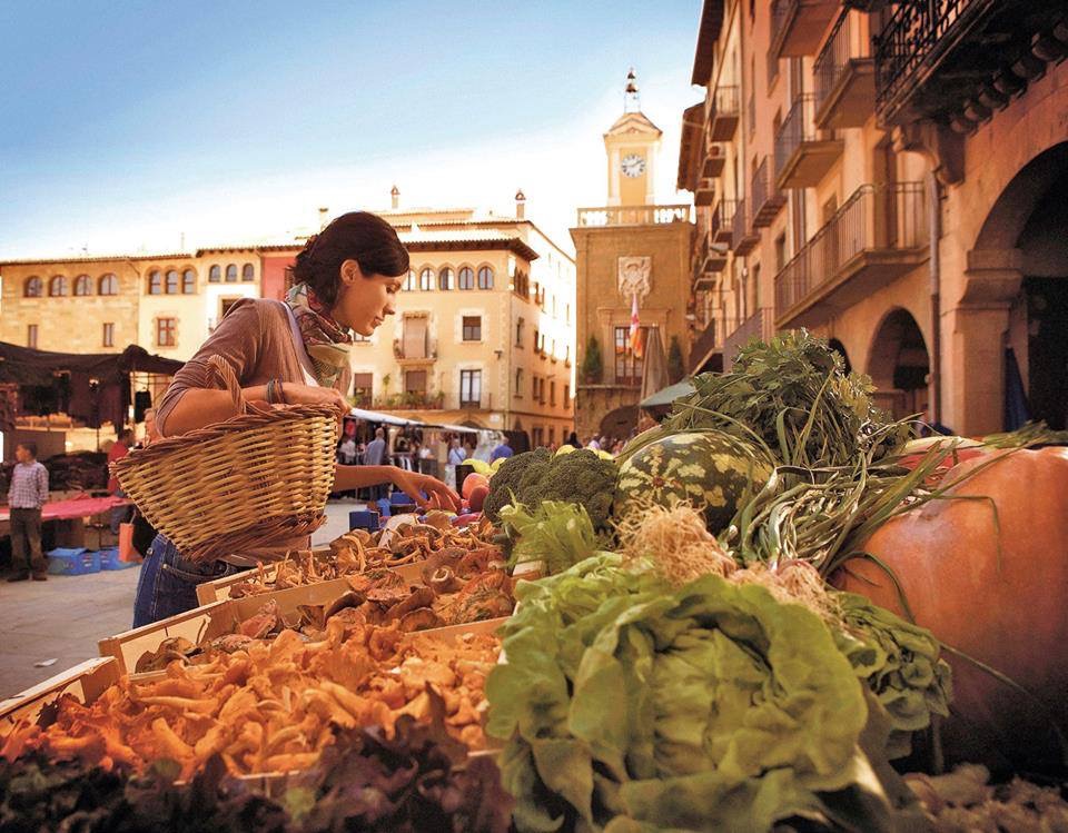 GASTRONOMIC TOURISM: The Influence of Gastronomic Heritage as a Decisive Factor in Choosing Travel Destinations.